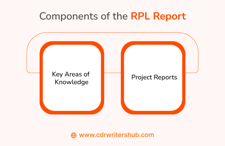 Components of the RPL Report